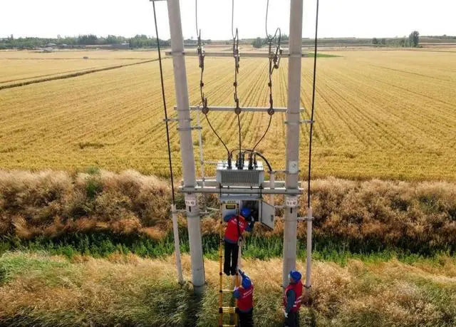 配電箱助力“電力保”―農(nóng)民有了“電力?！碑a(chǎn)業(yè)發(fā)展質(zhì)效