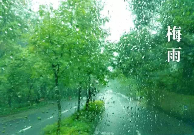 梅雨季節(jié)，如何解決配電箱回潮？給你支招